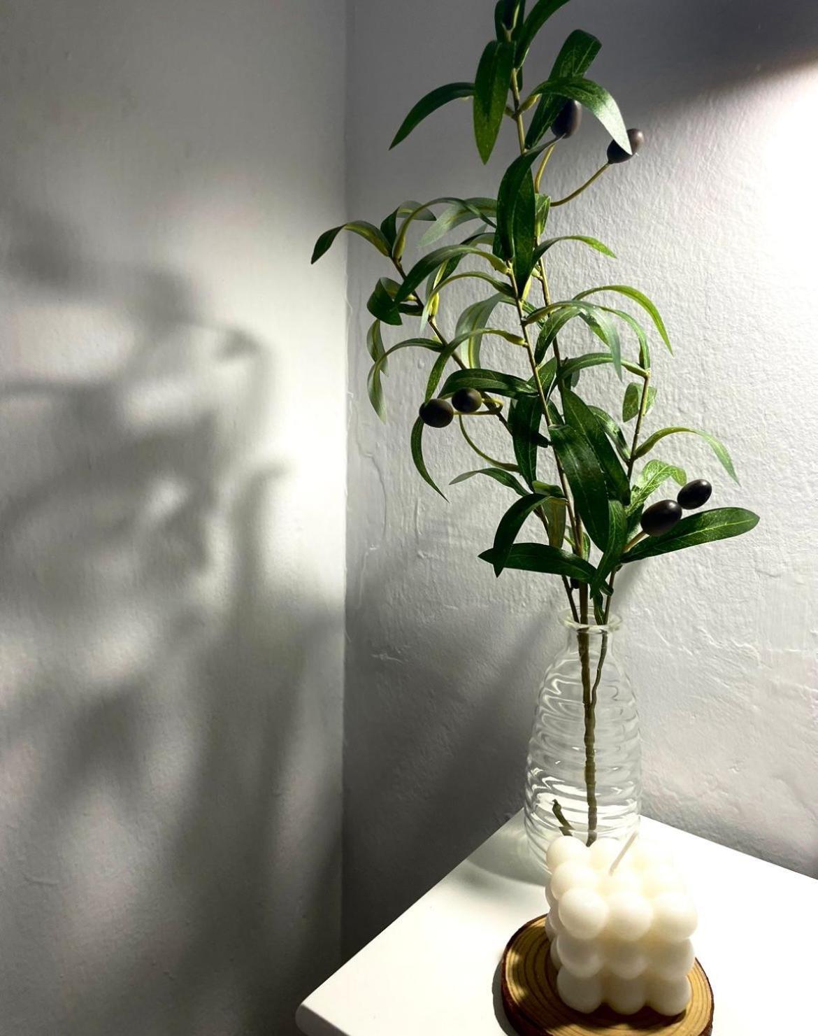 Apartamento Primavera Centro Ρόντα Εξωτερικό φωτογραφία