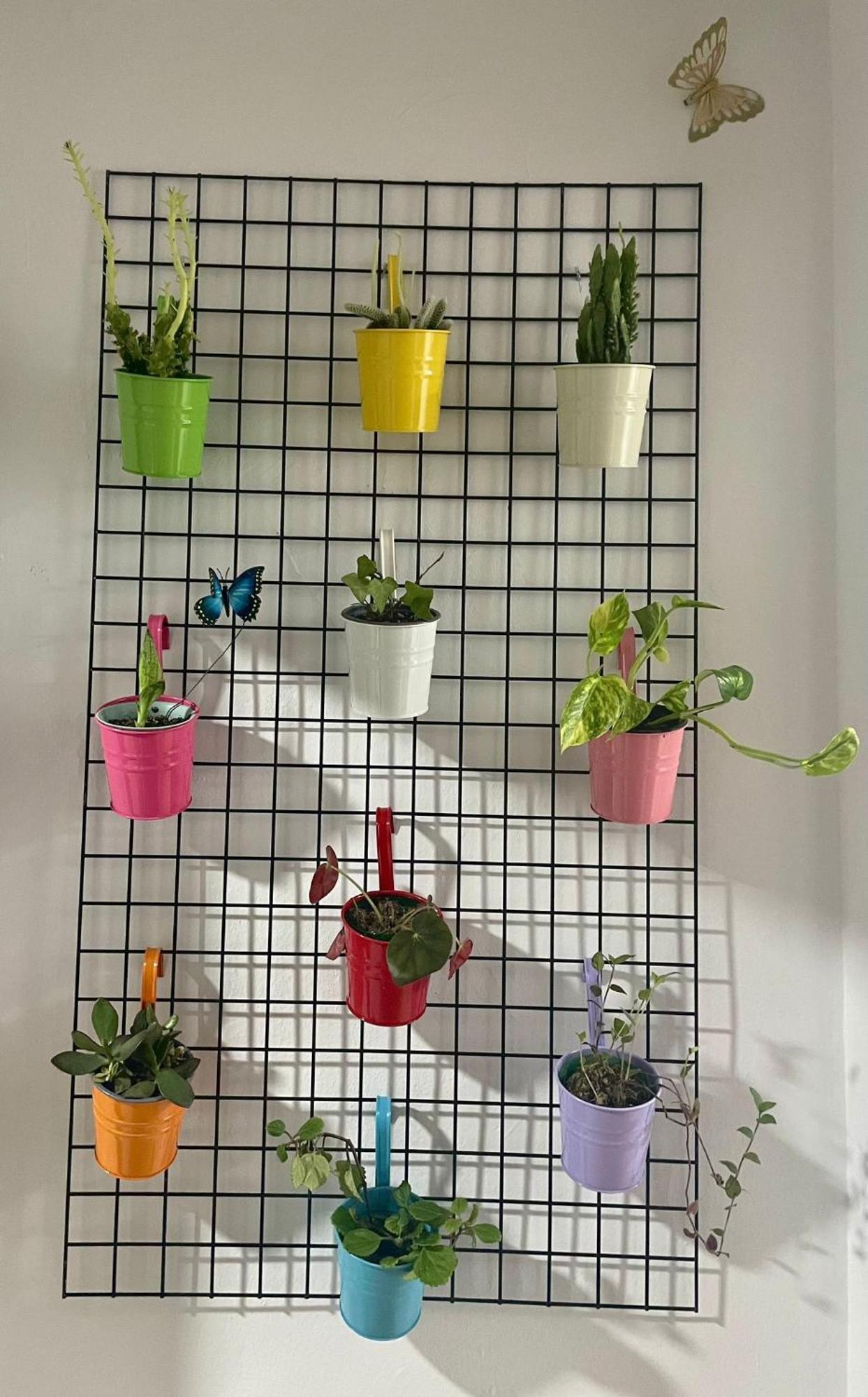 Apartamento Primavera Centro Ρόντα Εξωτερικό φωτογραφία